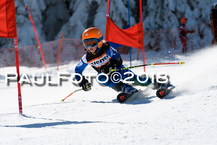 Ziener Cup WF, Finale, Quali + Parallelslalom, 24.03.2018