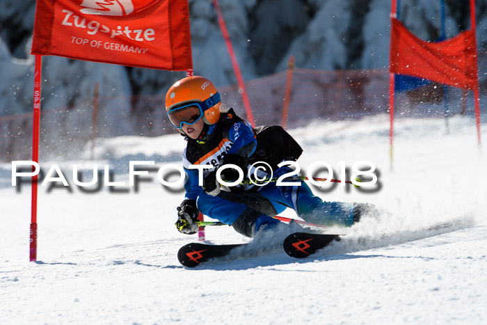 Ziener Cup WF, Finale, Quali + Parallelslalom, 24.03.2018