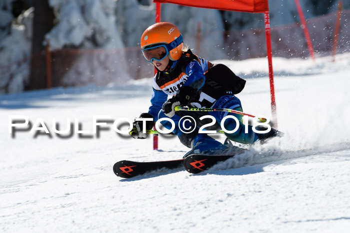 Ziener Cup WF, Finale, Quali + Parallelslalom, 24.03.2018