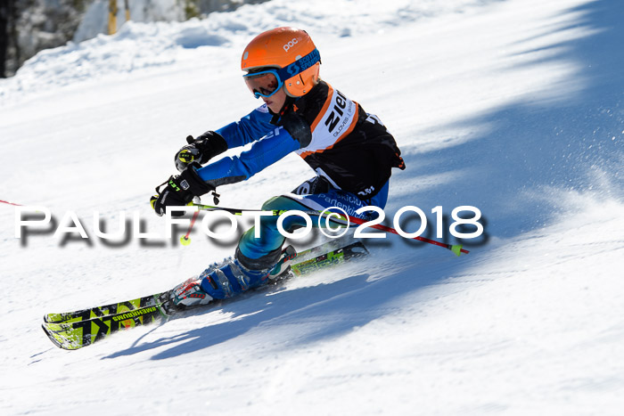 Ziener Cup WF, Finale, Quali + Parallelslalom, 24.03.2018