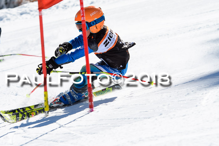 Ziener Cup WF, Finale, Quali + Parallelslalom, 24.03.2018