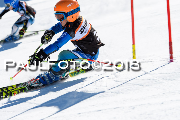 Ziener Cup WF, Finale, Quali + Parallelslalom, 24.03.2018