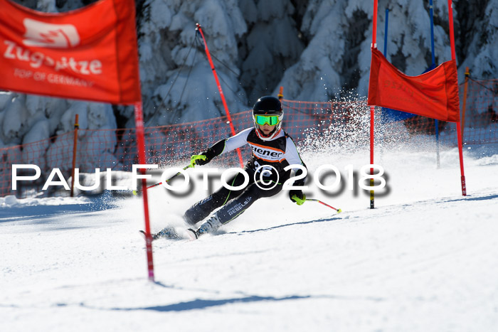 Ziener Cup WF, Finale, Quali + Parallelslalom, 24.03.2018