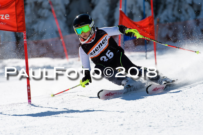 Ziener Cup WF, Finale, Quali + Parallelslalom, 24.03.2018