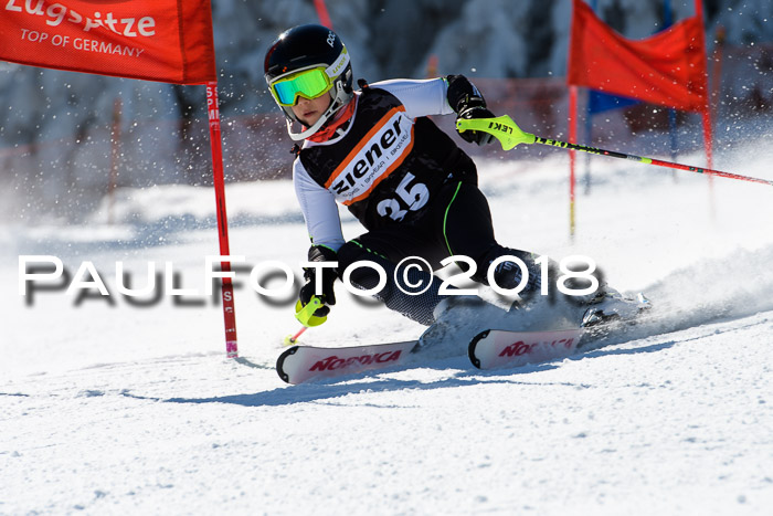 Ziener Cup WF, Finale, Quali + Parallelslalom, 24.03.2018