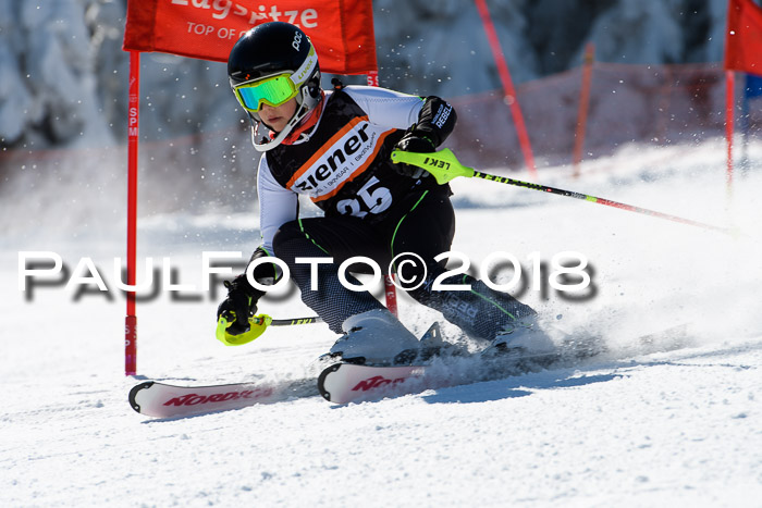 Ziener Cup WF, Finale, Quali + Parallelslalom, 24.03.2018