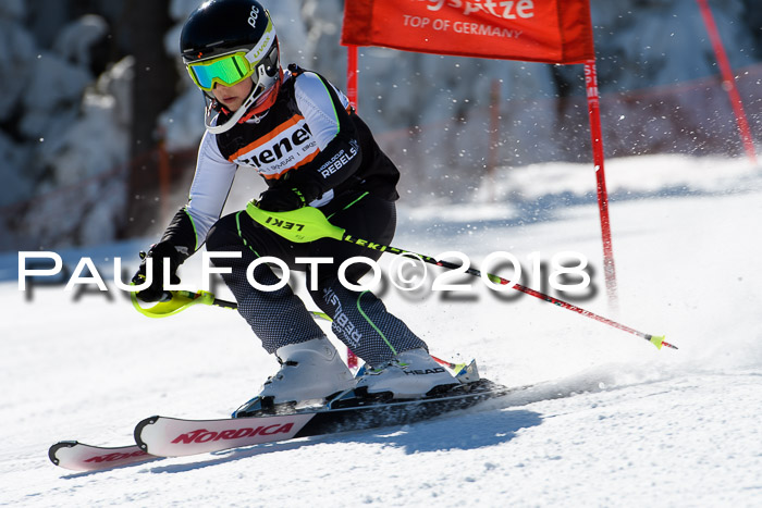 Ziener Cup WF, Finale, Quali + Parallelslalom, 24.03.2018