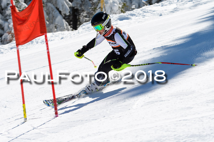 Ziener Cup WF, Finale, Quali + Parallelslalom, 24.03.2018