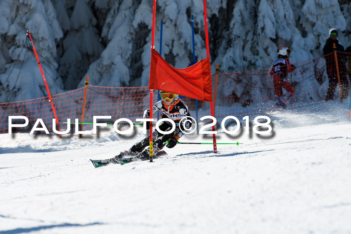 Ziener Cup WF, Finale, Quali + Parallelslalom, 24.03.2018