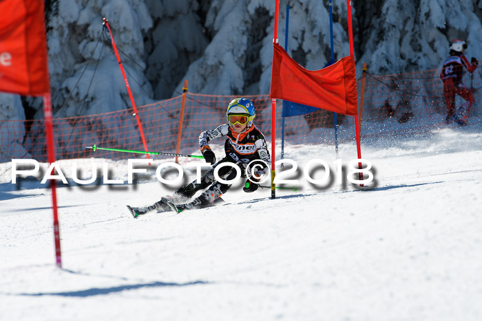 Ziener Cup WF, Finale, Quali + Parallelslalom, 24.03.2018