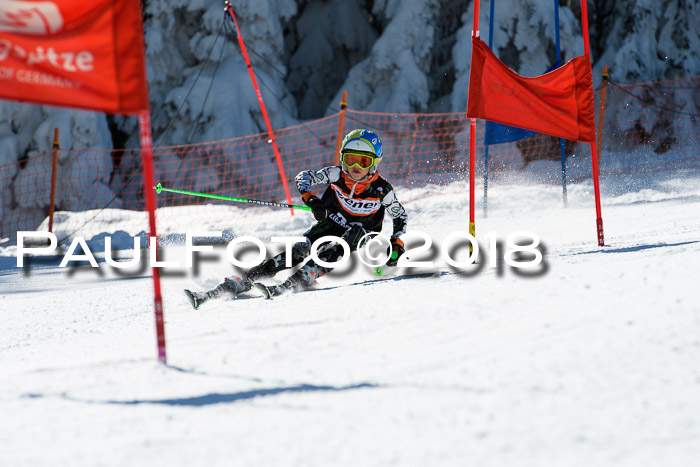 Ziener Cup WF, Finale, Quali + Parallelslalom, 24.03.2018