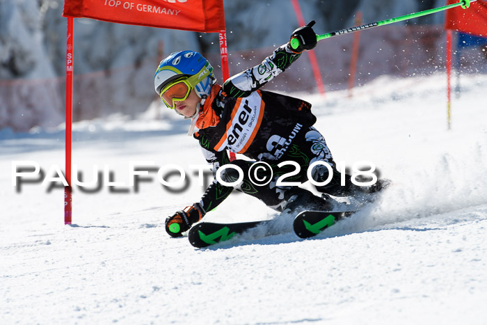 Ziener Cup WF, Finale, Quali + Parallelslalom, 24.03.2018