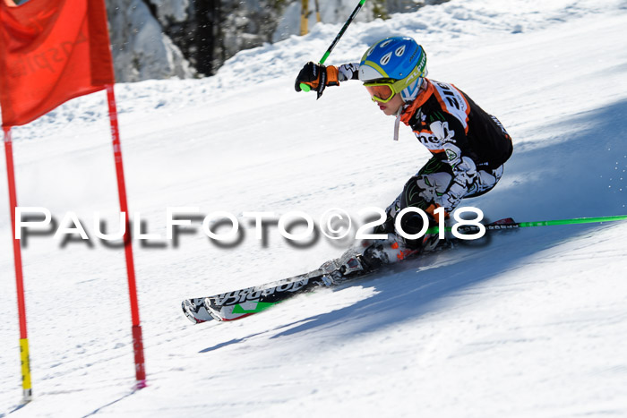 Ziener Cup WF, Finale, Quali + Parallelslalom, 24.03.2018