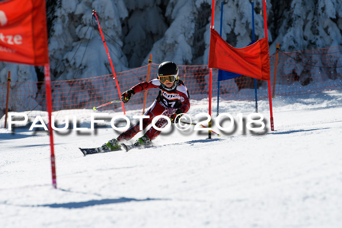 Ziener Cup WF, Finale, Quali + Parallelslalom, 24.03.2018