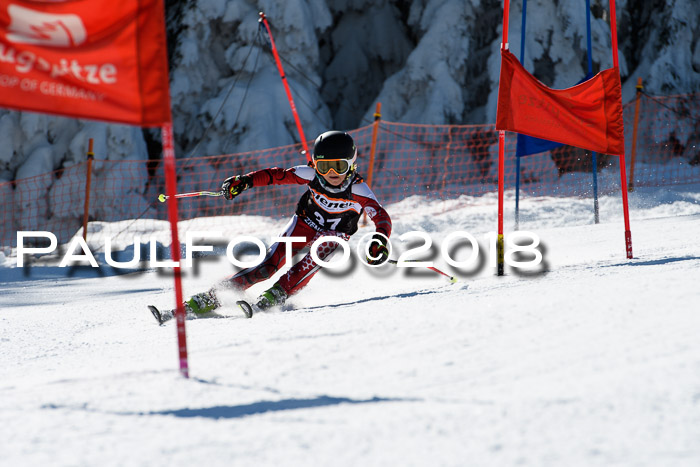 Ziener Cup WF, Finale, Quali + Parallelslalom, 24.03.2018