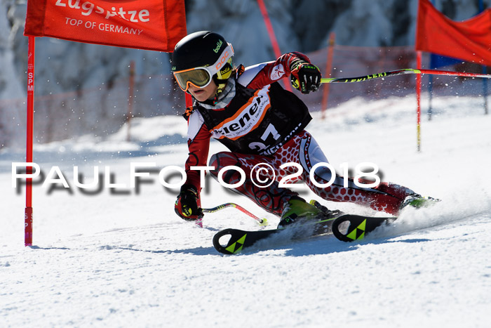 Ziener Cup WF, Finale, Quali + Parallelslalom, 24.03.2018