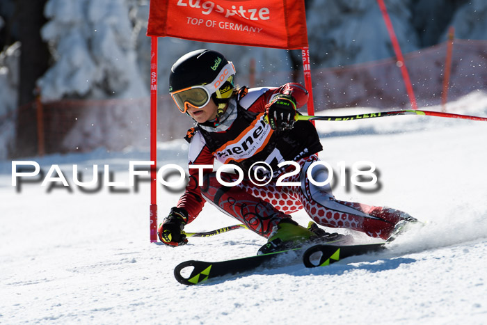 Ziener Cup WF, Finale, Quali + Parallelslalom, 24.03.2018