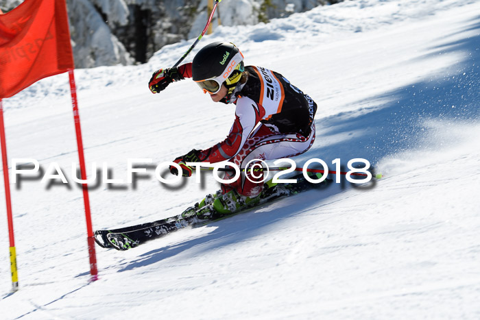 Ziener Cup WF, Finale, Quali + Parallelslalom, 24.03.2018