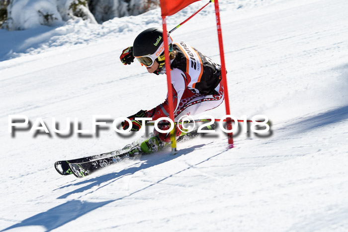 Ziener Cup WF, Finale, Quali + Parallelslalom, 24.03.2018