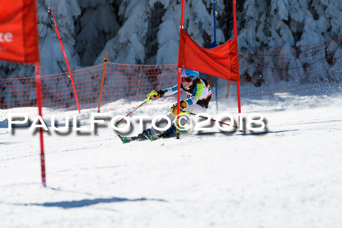 Ziener Cup WF, Finale, Quali + Parallelslalom, 24.03.2018