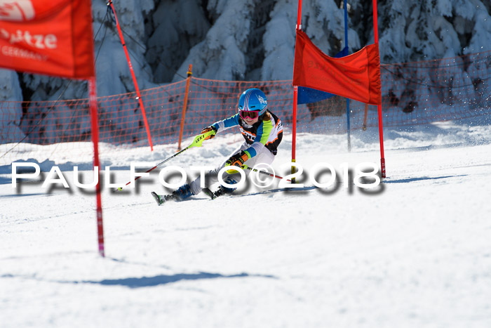 Ziener Cup WF, Finale, Quali + Parallelslalom, 24.03.2018