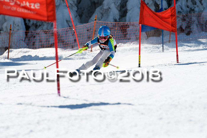 Ziener Cup WF, Finale, Quali + Parallelslalom, 24.03.2018