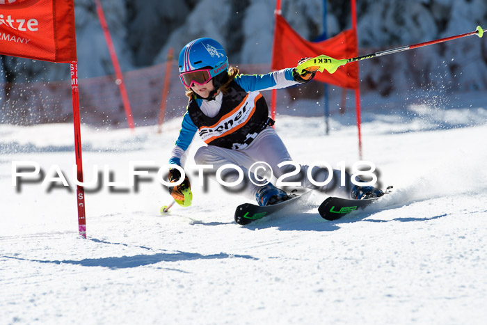 Ziener Cup WF, Finale, Quali + Parallelslalom, 24.03.2018