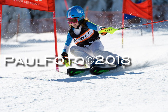 Ziener Cup WF, Finale, Quali + Parallelslalom, 24.03.2018