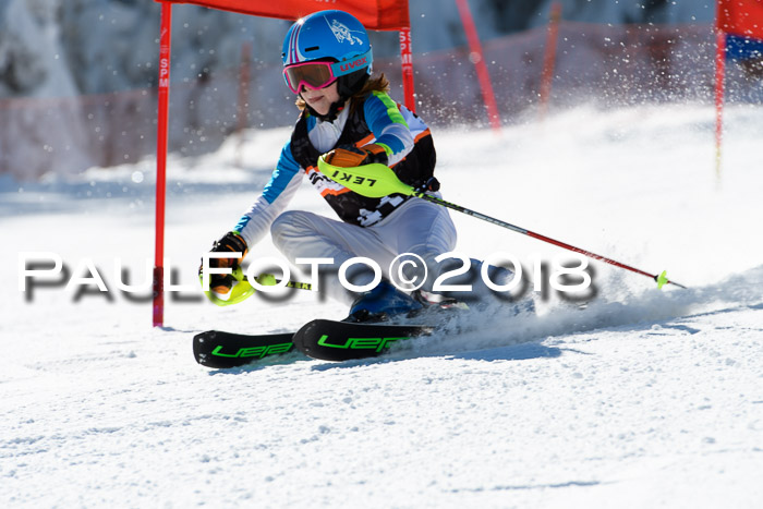 Ziener Cup WF, Finale, Quali + Parallelslalom, 24.03.2018