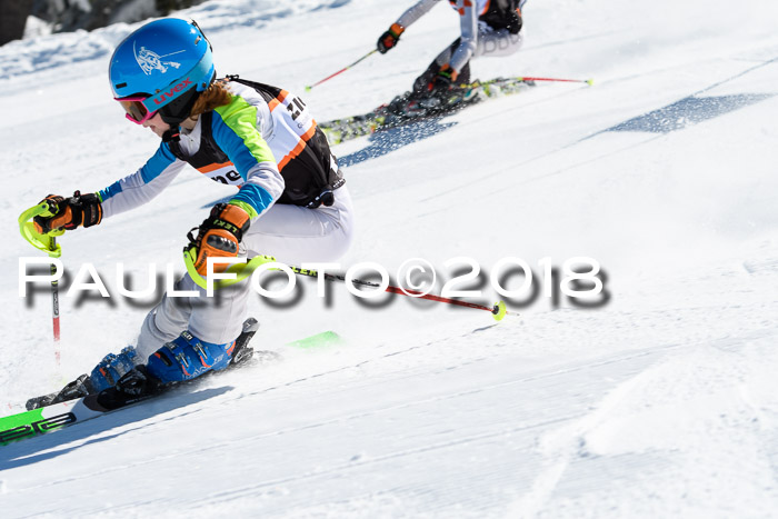 Ziener Cup WF, Finale, Quali + Parallelslalom, 24.03.2018