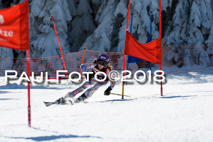Ziener Cup WF, Finale, Quali + Parallelslalom, 24.03.2018