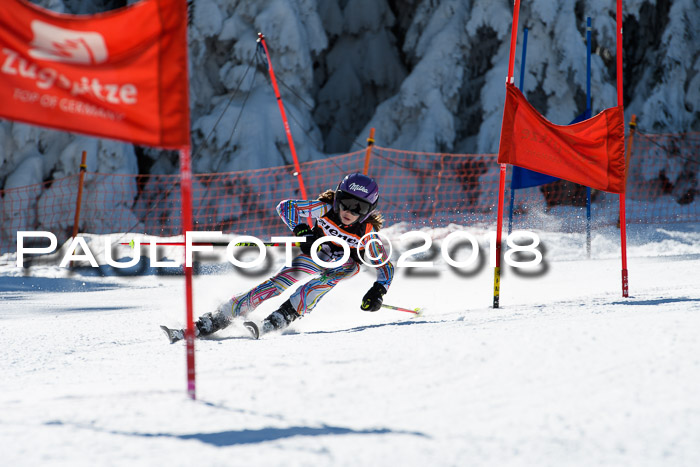 Ziener Cup WF, Finale, Quali + Parallelslalom, 24.03.2018