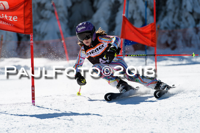 Ziener Cup WF, Finale, Quali + Parallelslalom, 24.03.2018