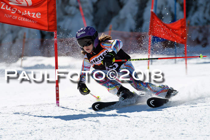 Ziener Cup WF, Finale, Quali + Parallelslalom, 24.03.2018