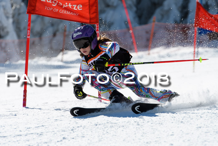 Ziener Cup WF, Finale, Quali + Parallelslalom, 24.03.2018