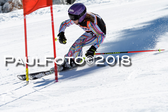 Ziener Cup WF, Finale, Quali + Parallelslalom, 24.03.2018