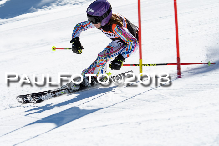 Ziener Cup WF, Finale, Quali + Parallelslalom, 24.03.2018
