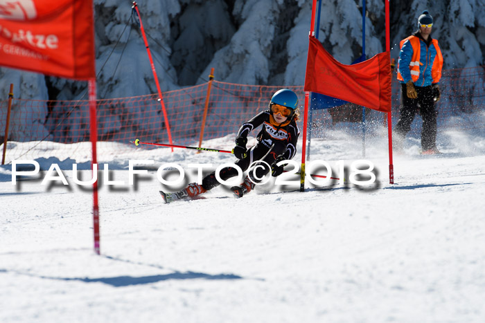 Ziener Cup WF, Finale, Quali + Parallelslalom, 24.03.2018