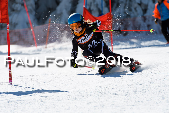 Ziener Cup WF, Finale, Quali + Parallelslalom, 24.03.2018