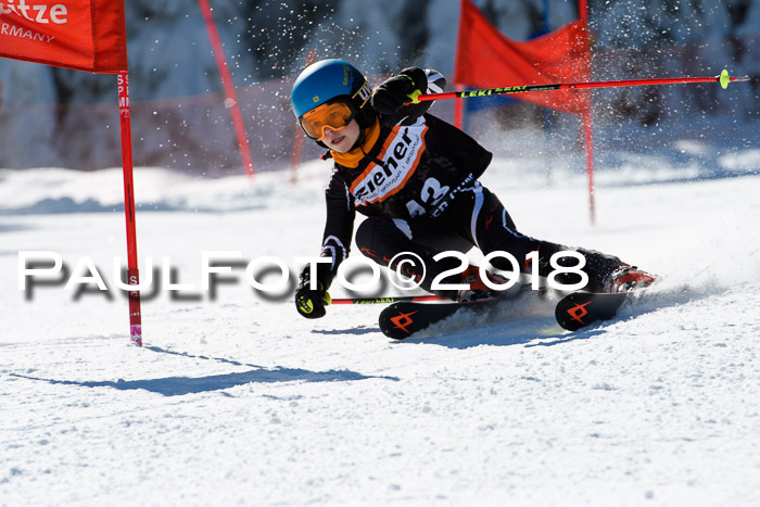 Ziener Cup WF, Finale, Quali + Parallelslalom, 24.03.2018