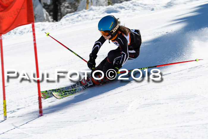 Ziener Cup WF, Finale, Quali + Parallelslalom, 24.03.2018