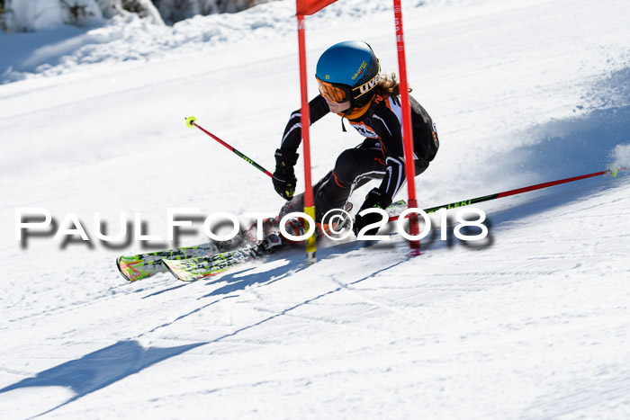 Ziener Cup WF, Finale, Quali + Parallelslalom, 24.03.2018