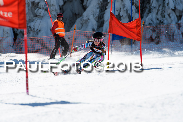 Ziener Cup WF, Finale, Quali + Parallelslalom, 24.03.2018