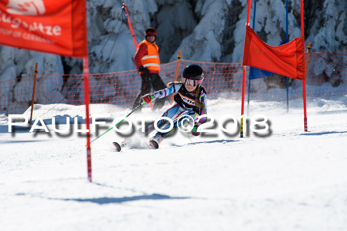 Ziener Cup WF, Finale, Quali + Parallelslalom, 24.03.2018