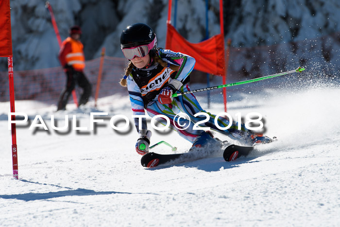 Ziener Cup WF, Finale, Quali + Parallelslalom, 24.03.2018