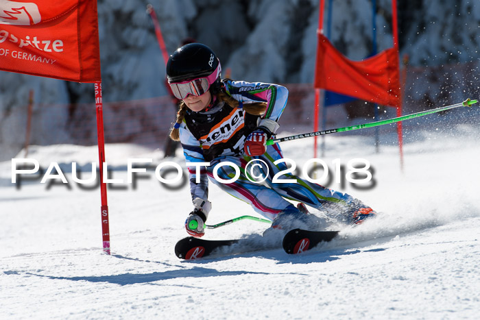 Ziener Cup WF, Finale, Quali + Parallelslalom, 24.03.2018