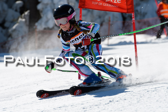 Ziener Cup WF, Finale, Quali + Parallelslalom, 24.03.2018