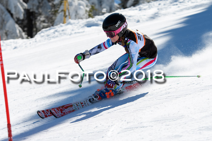 Ziener Cup WF, Finale, Quali + Parallelslalom, 24.03.2018