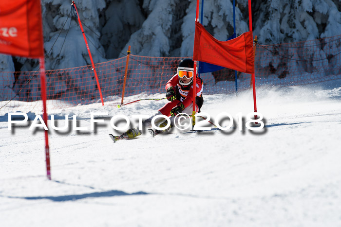 Ziener Cup WF, Finale, Quali + Parallelslalom, 24.03.2018