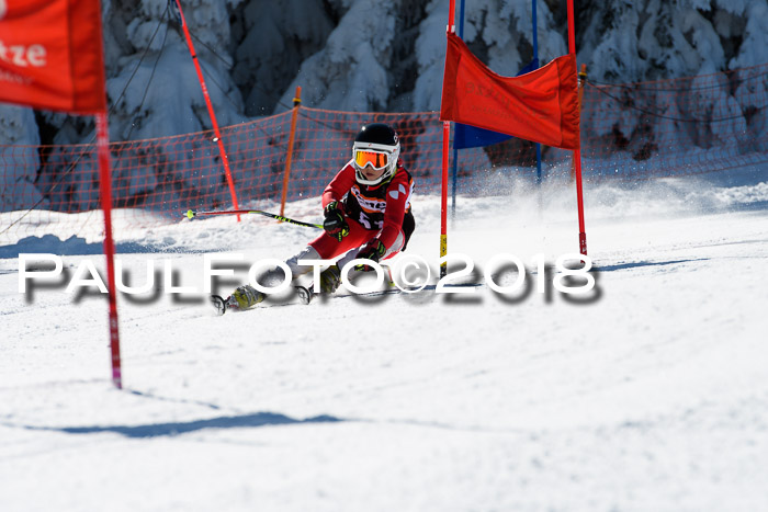Ziener Cup WF, Finale, Quali + Parallelslalom, 24.03.2018